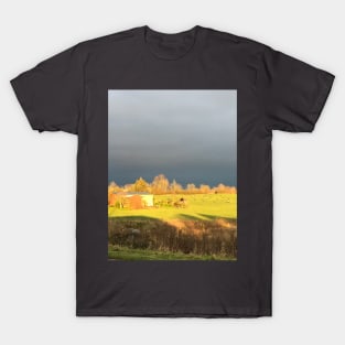 German landscape before storm T-Shirt